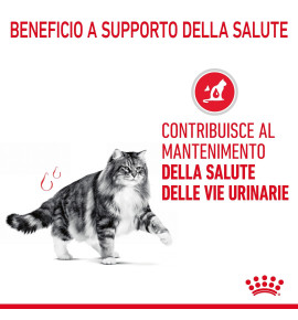 ROYAL CANIN® FELINE CARE NUTRITION URINARY CARE Dry Pet Food for Cat: Support your cat's urinary health