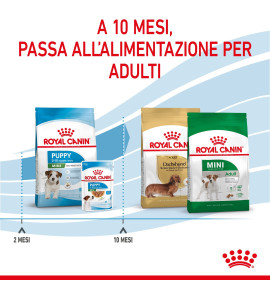 "Royal Canin Size Health Nutrition Puppy - Mini Dry Pet Food for Dog | Buy Now"