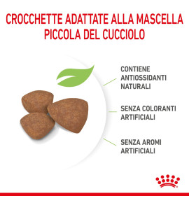 "Royal Canin Size Health Nutrition Puppy - Mini Dry Pet Food for Dog | Buy Now"