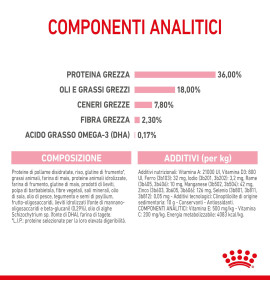 "Royal Canin Feline Health Nutrition Kitten Dry Pet Food for Cat - Complete and Balanced Nutrition for Your Growing Kitten"