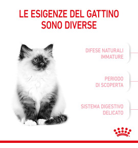 Royal Canin Feline Health Nutrition Kitten Dry Pet Food for Cat - Nutritious Formula for Growing Kittens