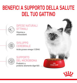 Royal Canin Feline Health Nutrition Kitten Dry Pet Food for Cat - Nutritious Formula for Growing Kittens
