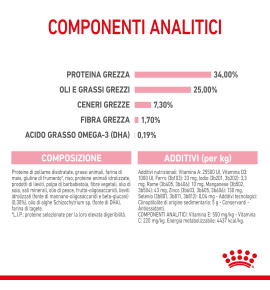 Royal Canin Feline Health Nutrition Mother & Babycat Dry Pet Food for Cat - Complete Nutrition for Kittens and Nursing Mothers