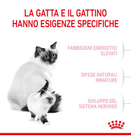 Royal Canin Feline Health Nutrition Mother & Babycat Dry Pet Food for Cat - Complete Nutrition for Kittens and Nursing Mothers