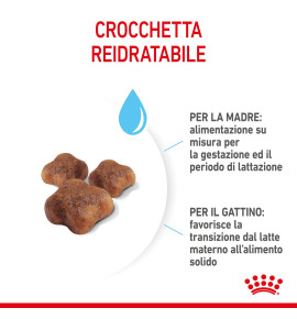 Royal Canin Feline Health Nutrition Mother & Babycat Dry Pet Food for Cat - Complete Nutrition for Kittens and Nursing Mothers