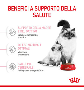 ROYAL CANIN FELINE HEALTH NUTRITION MOTHER & BABYCAT Dry Pet Food for Cat - Complete and Balanced Nutrition for Mother Cats and