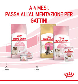 ROYAL CANIN FELINE HEALTH NUTRITION MOTHER & BABYCAT Dry Pet Food for Cat - Complete and Balanced Nutrition for Mother Cats and