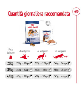 ROYAL CANIN® SIZE HEALTH NUTRITION MAXI ADULT - Alimento secco per cani adulti di taglia grande (26-44 kg) - Acquista ora!