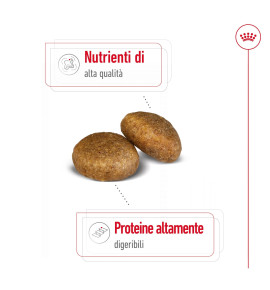 ROYAL CANIN® SIZE HEALTH NUTRITION MAXI ADULT - Alimento secco per cani adulti di taglia grande (26-44 kg) - Acquista ora!