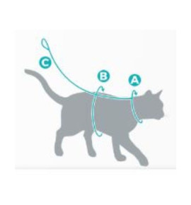 Set da passeggio per gatti | guinzagli e pettorine sicure