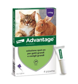 Advantage spot-on gatti e conigli- antiparassitario efficace
