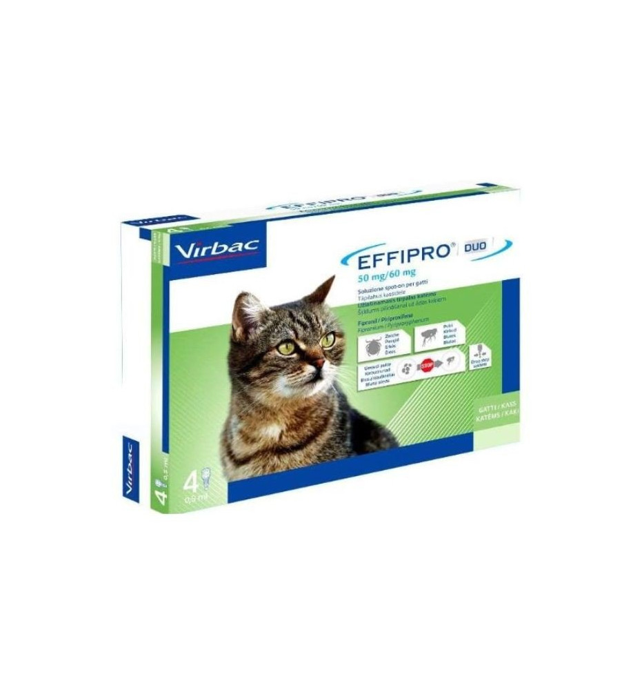 Effipro duo gatto: protezione da pulci e zecche