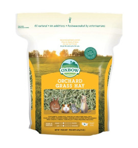Orchard Grass Hay per conigli e roditori | fieno naturale