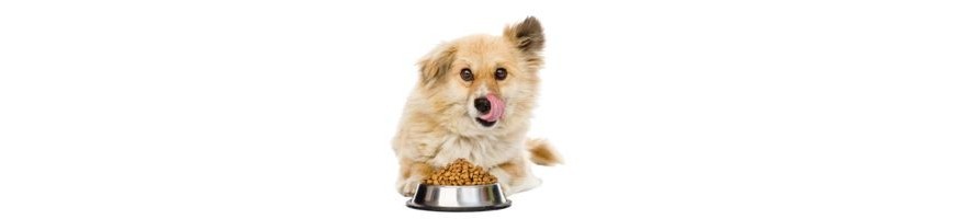 Alimenti Cane