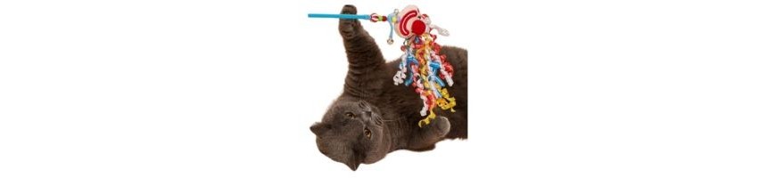 Accessori Gatto