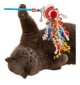 Accessori Gatto