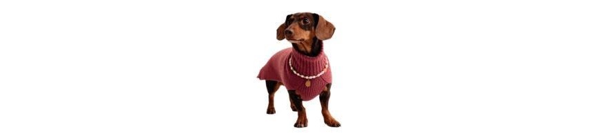 Boutique Cani