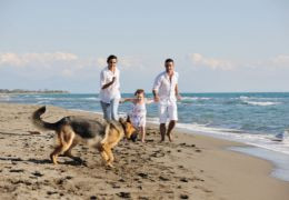 Uomo e Cane: una storia di amore